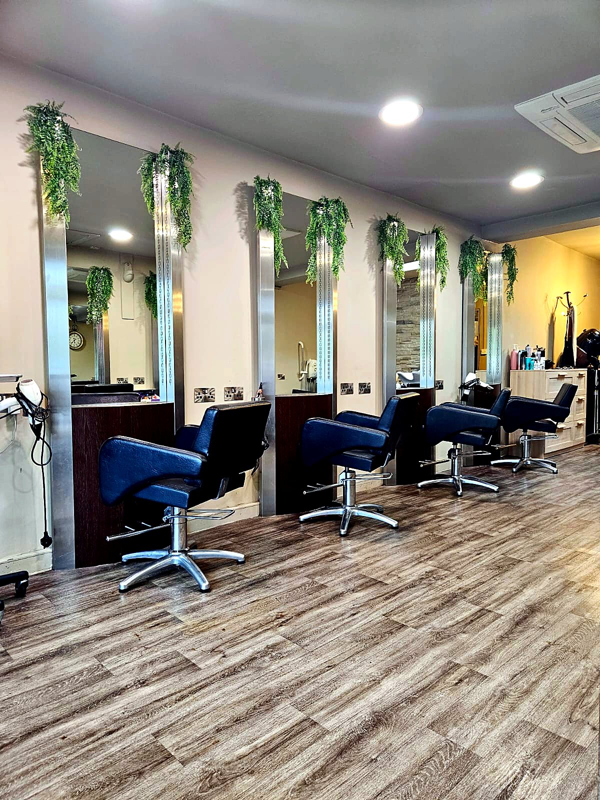 Honey Browns Hair Salon Ballincollig — modern styling stations with mirrors and hanging plants